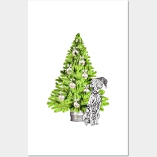 Dalmatian Christmas scene with Christmas Tree and Santa Hat Posters and Art